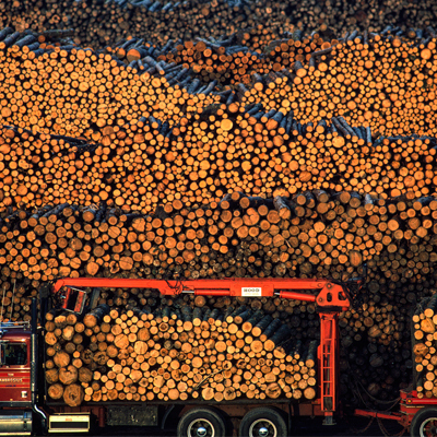 Arthur Meyerson Logging Truck Alabama
