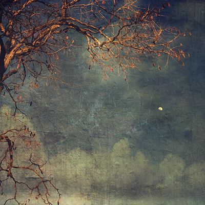 Wendi schneider moonglow 2019