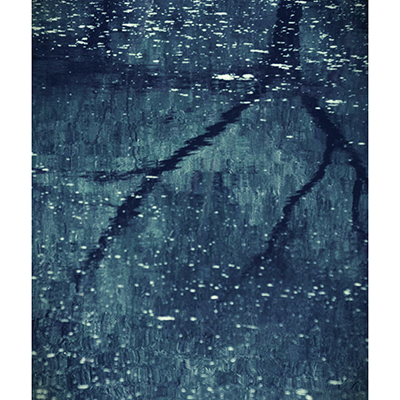 Wendi schneider twilight 2012 border