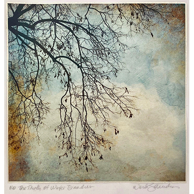 Wendi schneider the truth of winter branches 2019