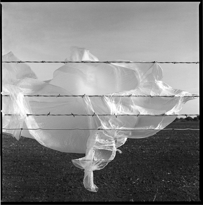 Ashton Thornhill