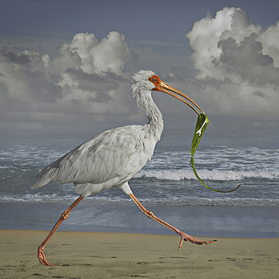 Cheryl Medow