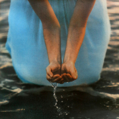 Diana Bloomfield