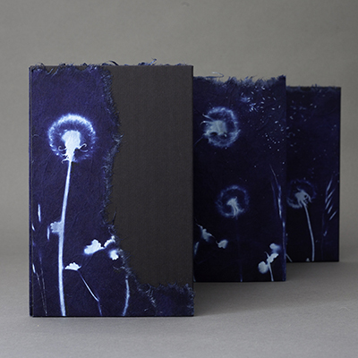 Elizabeth Mellott Dandelion 400Pixel
