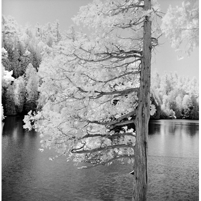Gerald Pisarzowski Rockwood No 3 2020 for Members Gallery