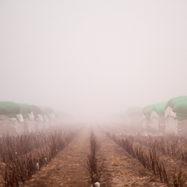 Heather Eaton  Black Friday Fog 2019 89