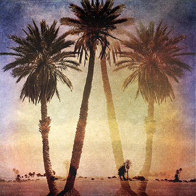 Karen Schulman Palm Fantasy 1 400X400