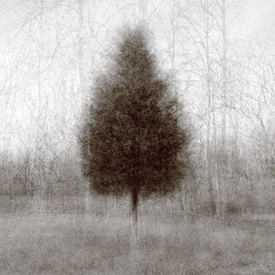 Kent Krugh