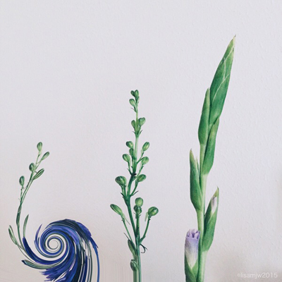 Lisa Waddell