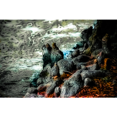 Michael Wright for Members Gallery