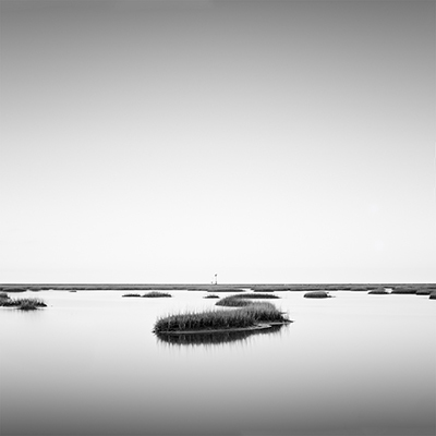 Steve Fisher
