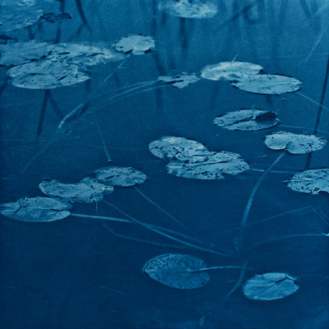 Susan Davens