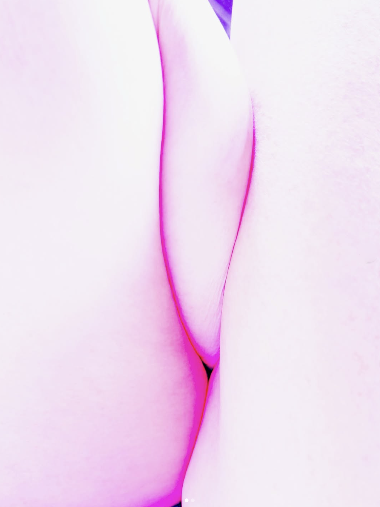 Christine Blankenship "Ladies Always Cross Their Legs (Landscape of a Body 6)"